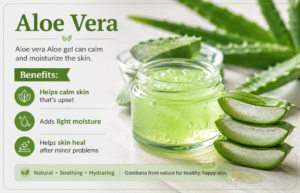 aloe vera