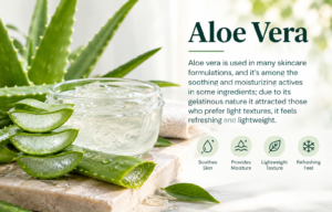 aloe vera moisturizer